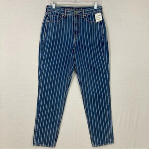 American Eagle Outfitters Blue and White Striped Straight Leg Jeans